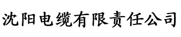 国产一区二区三区亚洲欧美日韩电缆厂logo